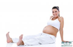 赛乐赛：女性过度肥胖会影响怀孕