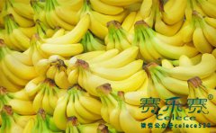 香蕉减肥 减肥食谱一周快速瘦20斤