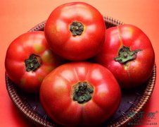 番茄减肥法 一周瘦3斤